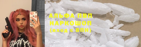 ГАЛЛЮЦИНОГЕННЫЕ ГРИБЫ Абаза